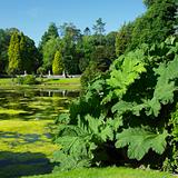 Johnstown Castle Gardens, County Wexford, Ireland