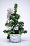Gray mouse on toy tree