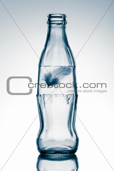 bottle with feather