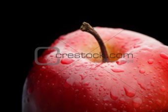 Red apple, macro 
