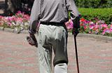 Portrait of senior man walking  in park 