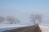 Foggy Rural Road 