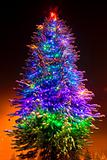 Christmas tree on the night