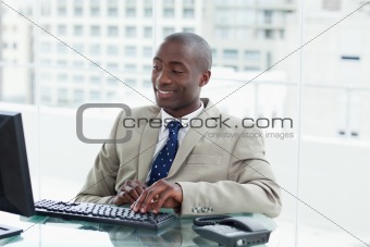 Entrepreneur using a computer