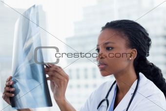 Focused female doctor looking at a set of X-rays