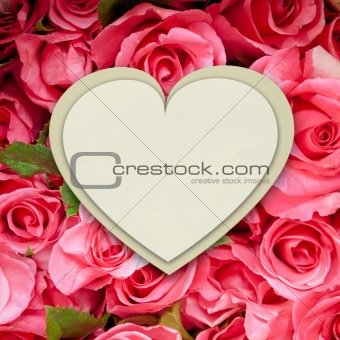 White paper heart form on pink roses background