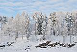 Finland. Canyon  Imatrankoski  in winter