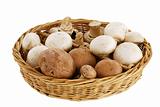 Mushroom mix in straw basket