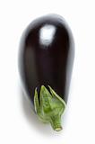 aubergine or eggplant