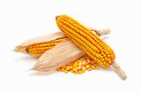 corn cobs and corn kernels
