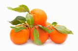 fresh orange