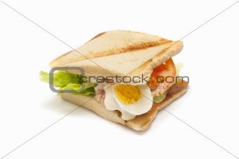 vegetable sandwich
 