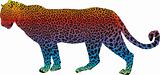 Leopard - vector abstract rainbow