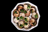 snails - french gourmet food