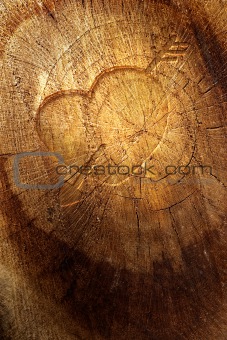 Love text on  wooden background