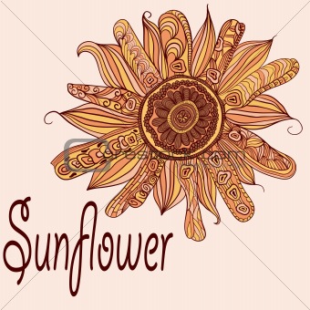 vector hand drawn sunflower