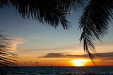 sunset tropical beach