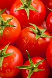 Tomato background