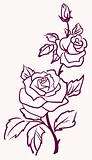 three stylized pale roses  isolated on light  background, vector