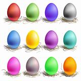 Color easter eggs in the nest, set of colour
