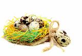 Colourful easter eggs in the nest.