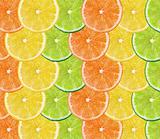 fresh citrus fruits background