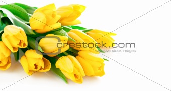 yellow tulip flowers bouquet