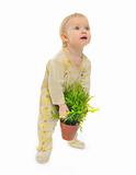Interested baby trying to raise pot with a plant isolated on white