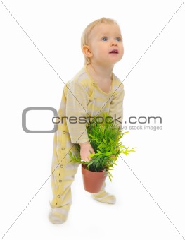 Interested baby trying to raise pot with a plant isolated on white