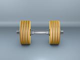 gold coin barbell