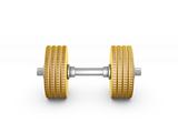 gold coin barbell