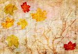 grunge abstract fall  background 