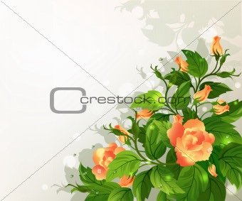 Background with yellow roses