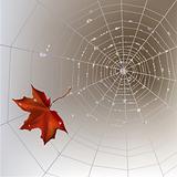 Spider web autumn background