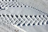 Trace of wheels on winter road