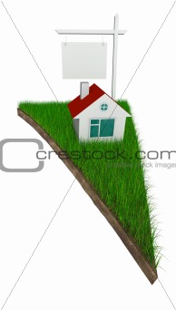 House on piece of land with grass