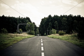 empty asphalt road across the forest to horizon