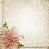 Paper grunge background with pink lily 