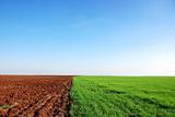  plowed and green field background