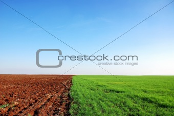  plowed and green field background