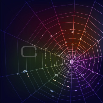 Dark spider web background