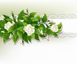 Background with white roses