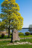  Rune stone. Gripsholm Castle, Marifred, Sweden.