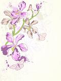 background with violet orchids