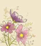 floral background with cosmos flowers