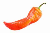 Single red fresh chilli-pepper
