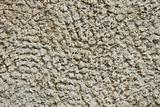 Concrete stucco texture