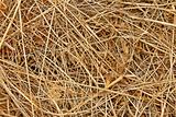Dried hayDried hay