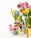 Easter eggs  with spring flowers on white