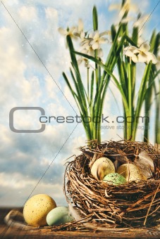 Nest of eggs with flowers for Easter